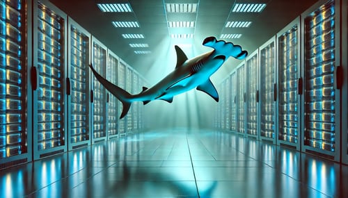 IBM Ends Support for Hammerhead: A Look Ahead at What's Next