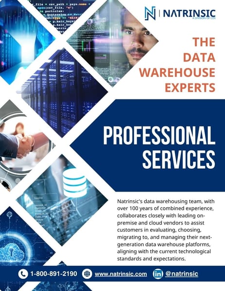 Natrinsic Professional Services Brochure
